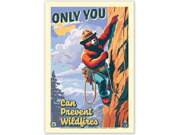 Vintage Smokey Bear Hoodie - 'Only You Can Prevent Wildfires' Pullover (Black, 4XL) - View #2