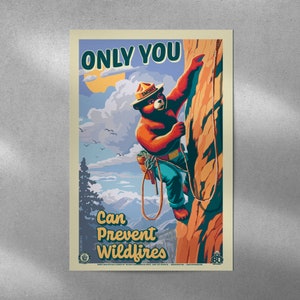 Only You Can Prevent Wildfires Rock Climbing Smokey Bear Commemorative