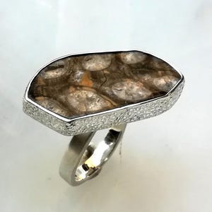 Pode incluir: Um anel com uma pedra de coral fossilizado plana e irregular, em tons de castanho e bronze, engastada numa moldura de prata texturizada. O aro é de prata polida e a pedra apresenta um padrão circular orgânico e distinto na superfície.