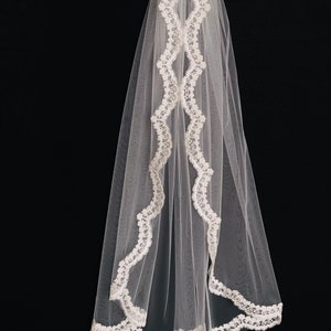 Gorgeous Wedding Lace Veil, Floral Veils for Brides, Soft Tulle Bridal Veils with Comb, free tulle sample