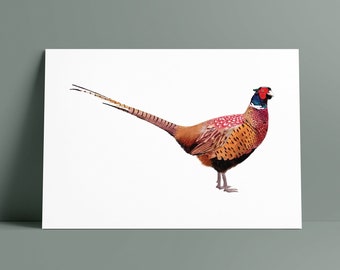 Pheasant Print, Unframed, Pheasant Wall Art, Pheasant Illustration, Pheasant Drawing, Country Print, British Wildlife Print