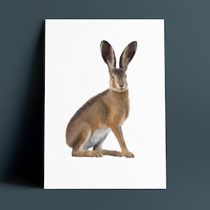 Hare Print, Hare Wall Art, Hare Illustration, Hare Drawing, Country Print, British Wildlife Print