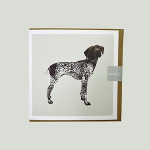 May include: A greeting card featuring an illustration of a black and white German Shorthaired Pointer dog. The card has a brown border and the text "Lisa Drury" in the top right corner.