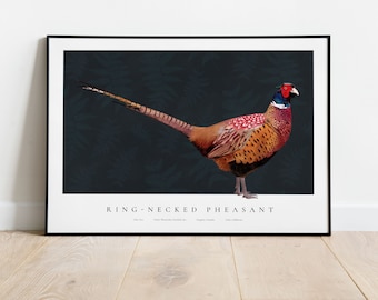 Fasan Druck, Farn Druck, Fasan Wandkunst, Fasan Illustration, Fasan Zeichnung, Land Druck, Britische Wildtier Druck
