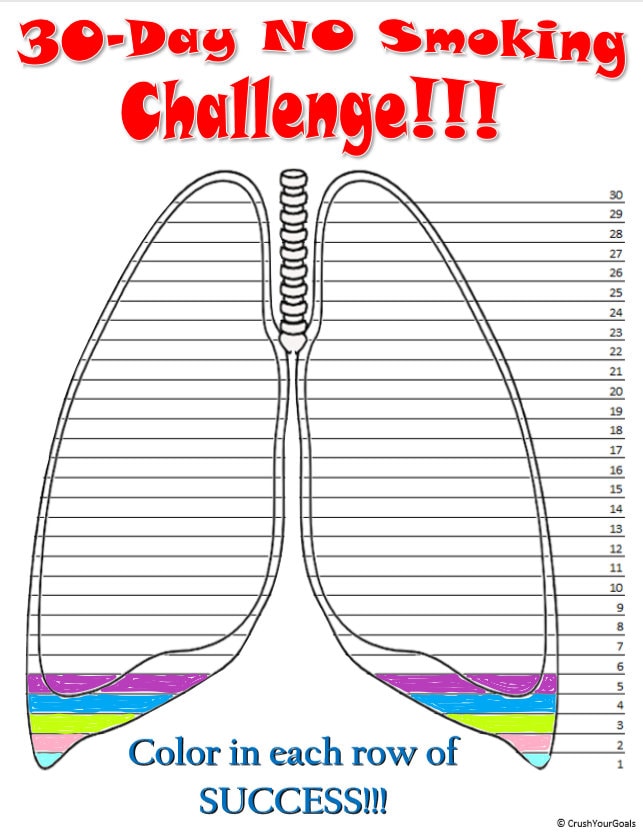 daily progress tracking cigarette reduction challenge 30-day NO Smoking Challenge Tracker! Printable Tracker, Goal Tracker,  Visual Tracker, Visual Chart, Coloring Chart