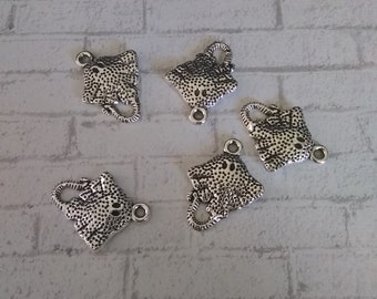 Silber Stingray Charme