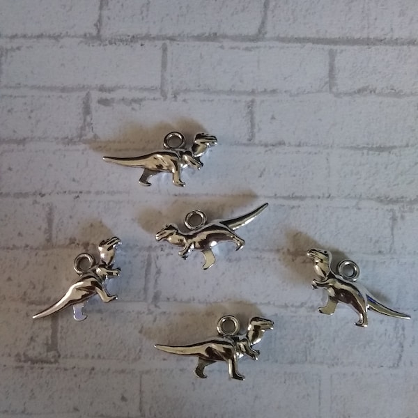 Silver T-rex dinosaur Charm