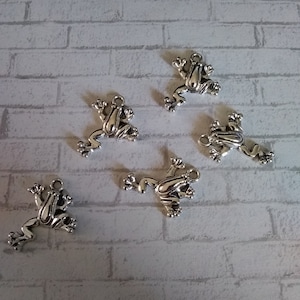 Silver frog Charm