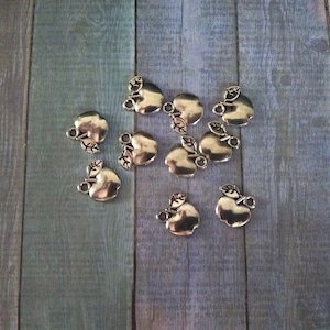 Silver apple Charm