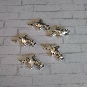 Silver rhinoceros Charm