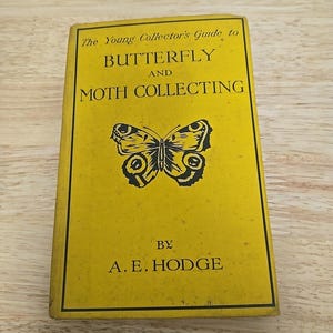 The Young Collector&#39;s Guide to Butterfly and Moth Collecting by A. E. Hodge (1919)