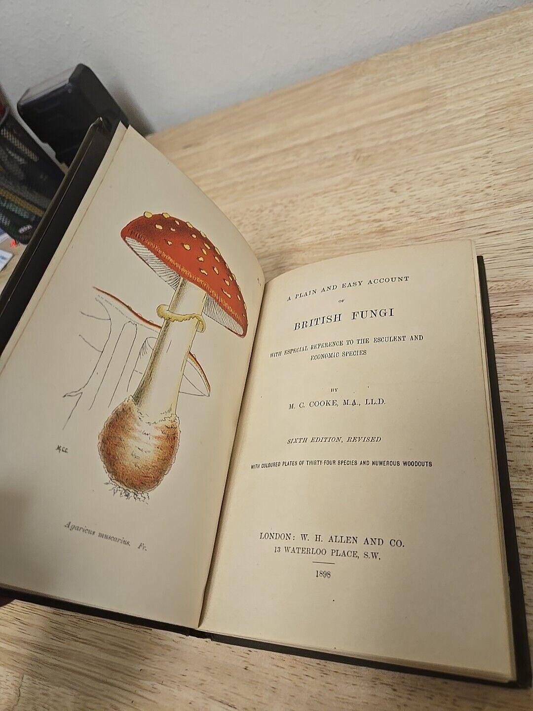 洋書 British Fungi by M. C. Cooke A Plain and Easy Account of British Fungi by M. C. Cooke (1898) - Etsy