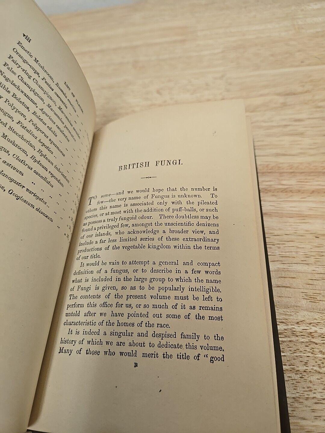 A Plain and Easy Account of British Fungi by M. C. Cooke (1898) - Etsy