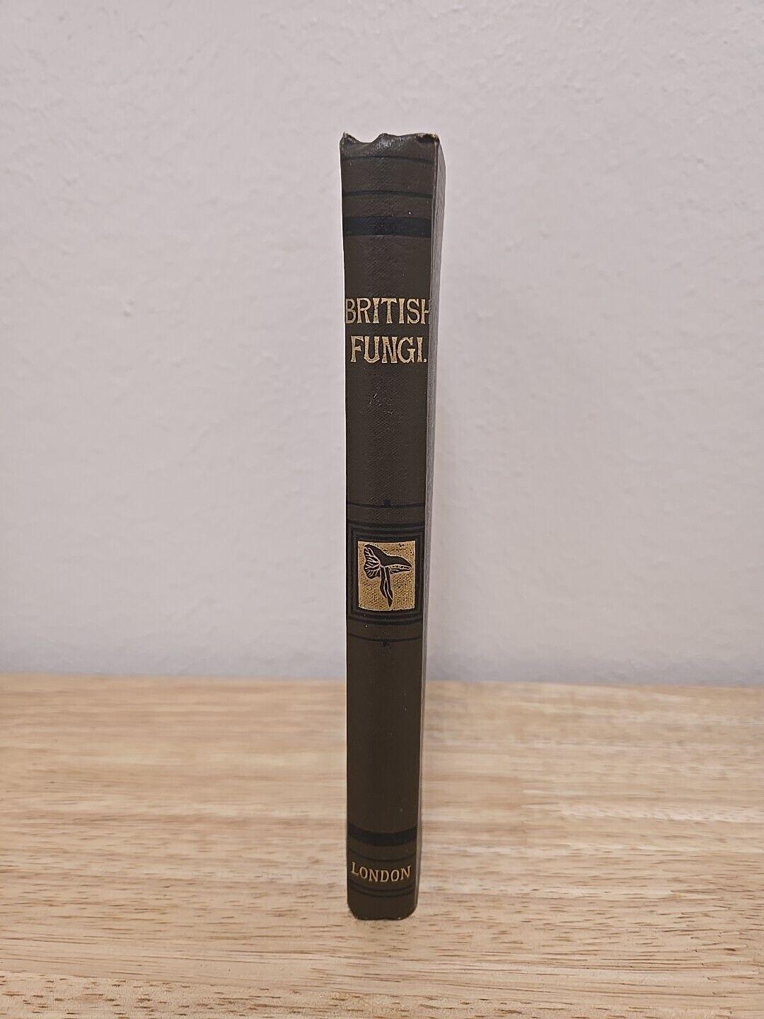 A Plain and Easy Account of British Fungi by M. C. Cooke (1898) - Etsy