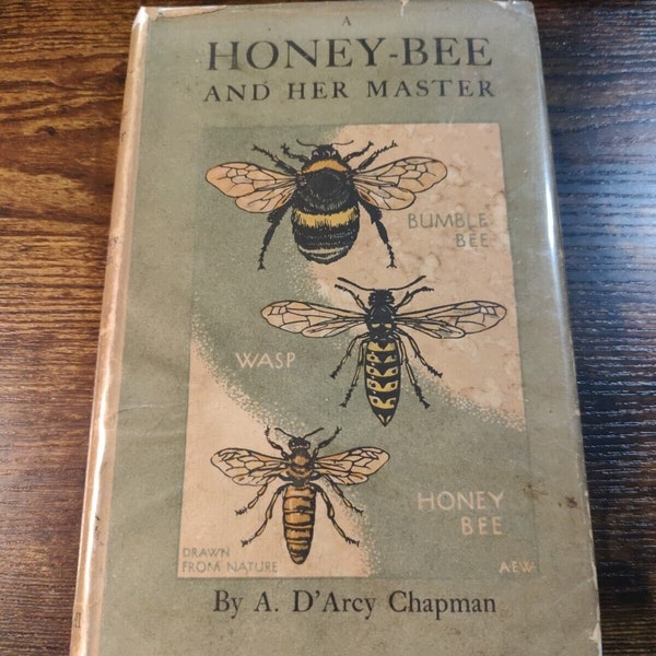 A Honey-Bee and Her Master by A. D'Arcy Chapman (1944)