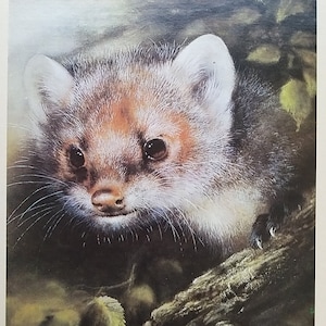 Vintage ansichtkaart "Marter". Kunstenaar A. Isakov (Moskou, 1989)