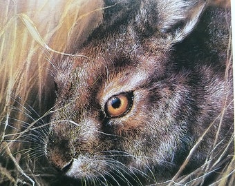 Vintage postcard "Brown hare". Artist A. Isakov (Moscow, 1989)