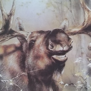 Cartão postal vintage "Alce". Artista A. Isakov (Moscou, 1989)