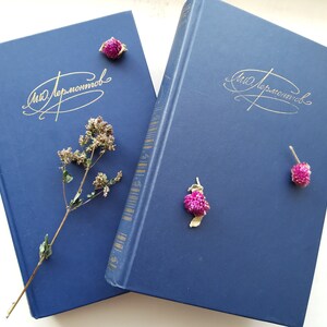 Lermontov M.Y. Set of 2 vintage books. Russian poetry, prose, dramas. Classical Russian literature. 1980s