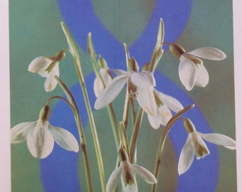 Postcard 8 of March. International Women's Day, Mother’s Day, Eight of March, March 8 congratulation postcard. USSR, 1993.