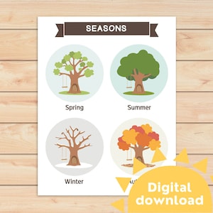 Poster Arbres 4 saisons pour enfants | Tableau des noms des quatre saisons | Liste des saisons en anglais | Saisons d'apprentissage | Saisons à imprimer | Décoration d'école à la maison