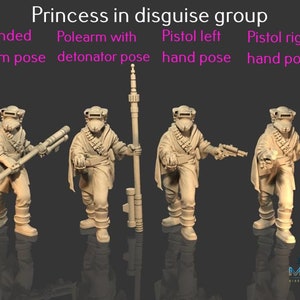 Princess in Disguise - Legion Scale