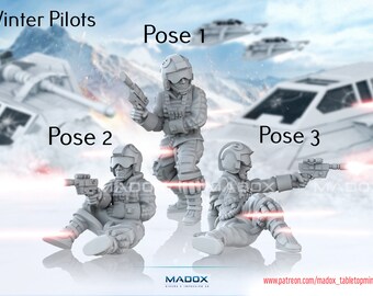 Winter Pilots - Legion Scale