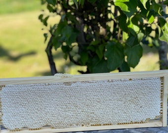 Raw Honeycomb in a Wooden Frame | Natural Honey of 2025  | Organic Bee Product | Pure Raw Fresh Honey | 1.7 - 2.1 kg