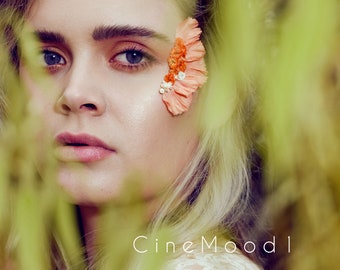 Filmisch geïnspireerd Photoshop LUT pack CineMood