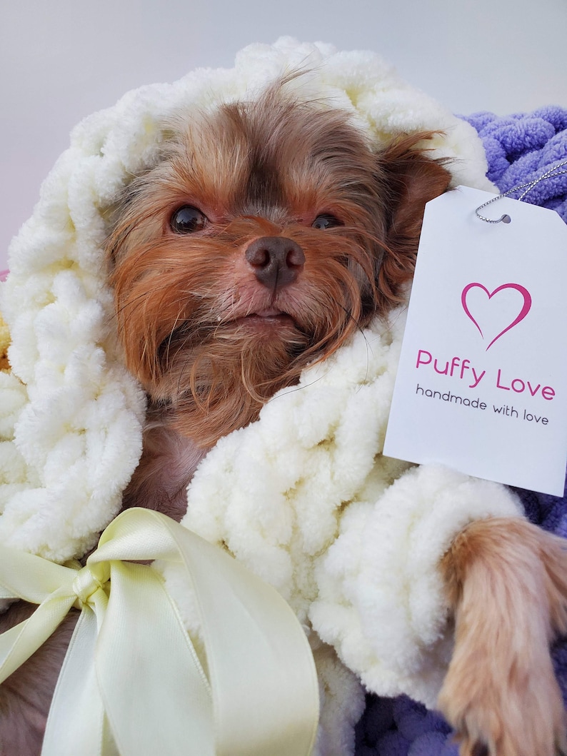 Small Dog Bathrobe Knit Puppy Robe Soft Dog Robe Dog Etsy Australia