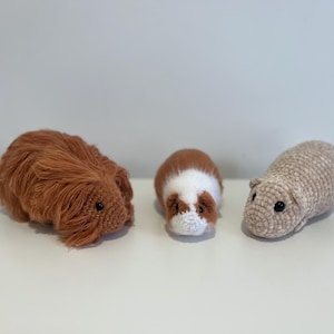 Guinea Pig Pet Custom Squeaky toy  (Pattern by @olivestoybox)