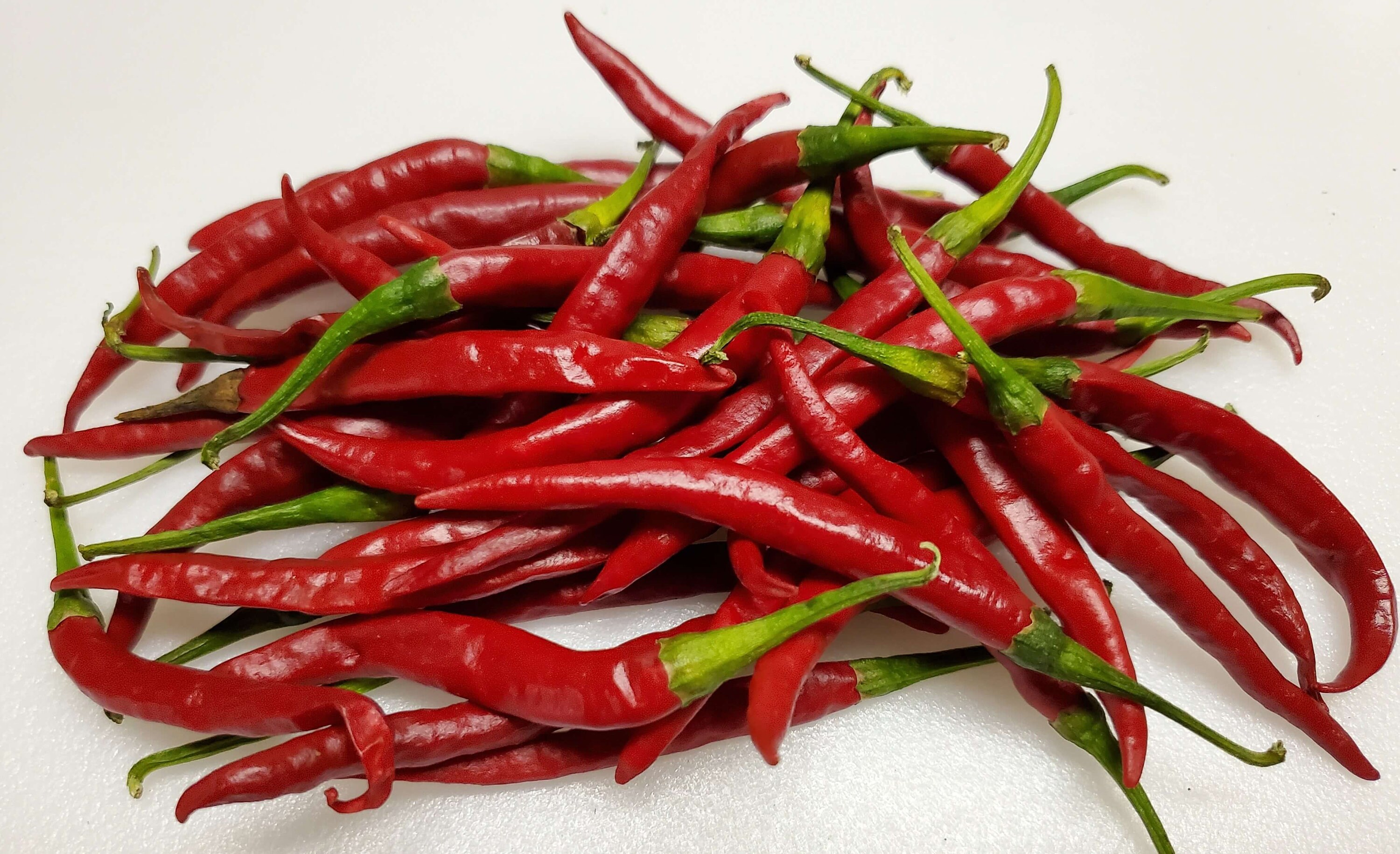Chile De Arbol Seeds 10 Etsy