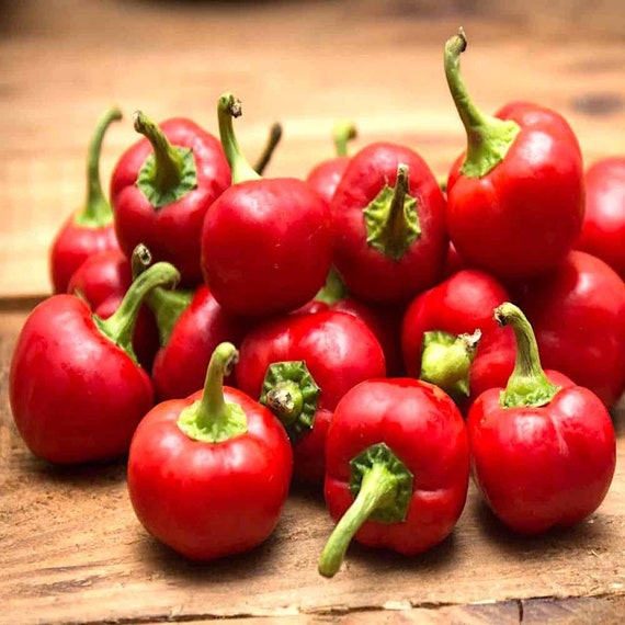Red Hot Cherry Bomb Pepper Seeds Etsy