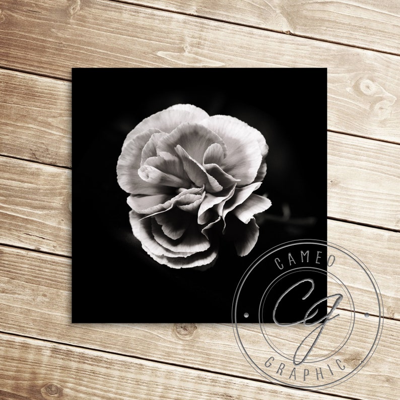 Digital download SEPIA FLOWER