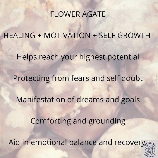 Large Flower Agate Coral Palm Stones Flower Agate Polished Etsy UK