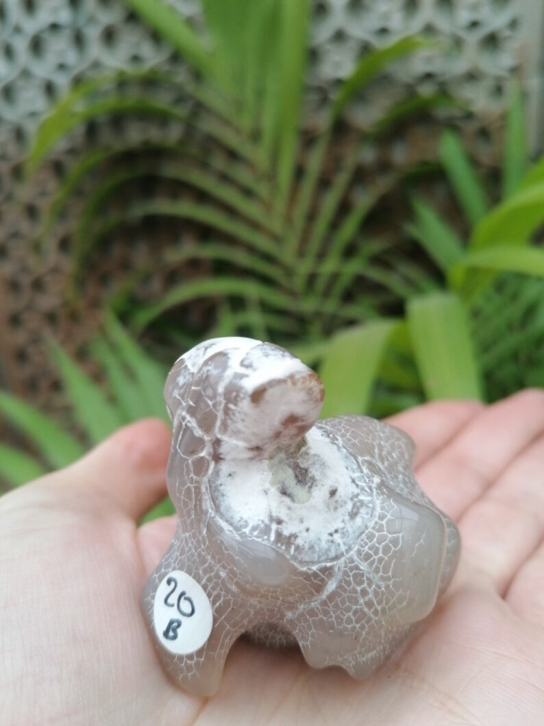 Large Snakeskin Agate Crystal Polished Agate Crystal Gifts Etsy UK