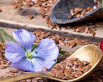 2000+ Blue Linum Flax Flower Seeds | Blue/Purple Linseed Perennial Medicinal Wildflower