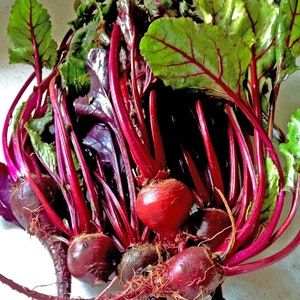 May include: A bunch of red beets with their leafy greens still attached. The beets are arranged in a cluster, with the tops of the beets visible.