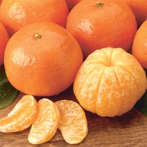 May include: A group of whole and segmented mandarin oranges on a wooden surface. The oranges are bright orange and have a glossy finish. Some of the oranges have leaves attached.