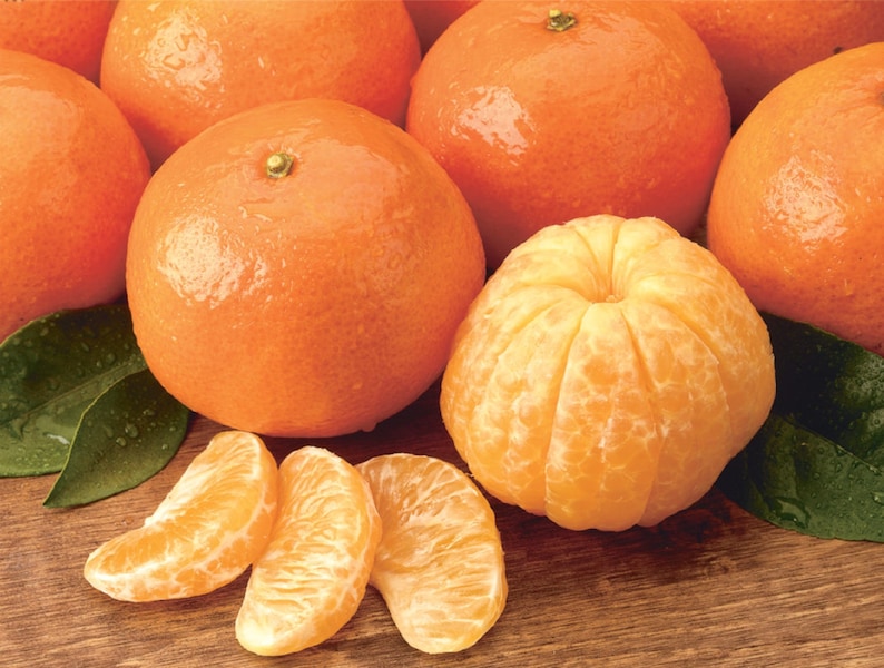 May include: A group of whole and segmented mandarin oranges on a wooden surface. The oranges are bright orange and have a glossy finish. Some of the oranges have leaves attached.