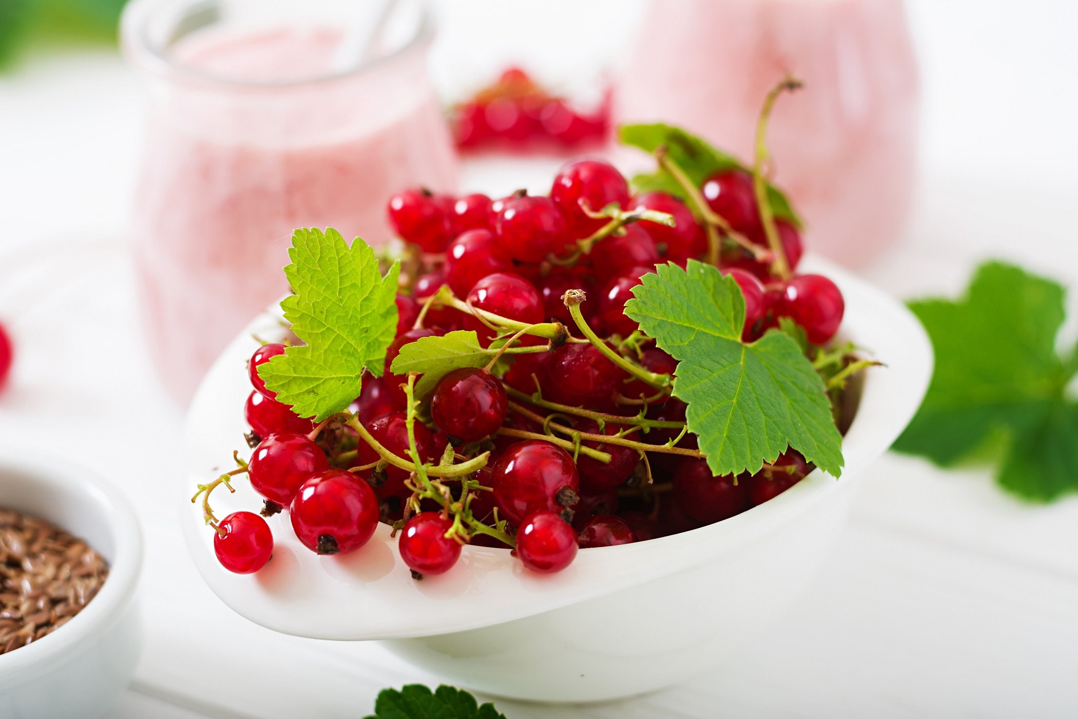 Graines De Groseille Rouge - Lot De 80 Graines | Pour Jardin, Balcon, Culture Extérieure Facile