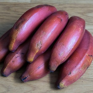 May include: A bunch of red bananas on a wooden surface. The bananas are arranged in a pile, with the tips of the bananas pointing towards the top of the image.