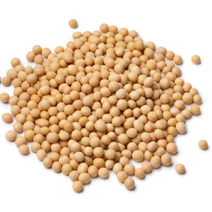 May include: A close-up of a pile of beige soybeans on a white background.