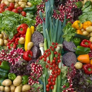 21,500 + seeds Emergency Survival Bank 42 variety [ Medicinal-Edible-Herbal ] Cold Tolerant Fast growing  NON-GMO Heirloom Free Shipping!