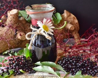Organic Wild Elderberry Black Fruiting Shrub {Sambucus cadensis} Edible | NON GMO | Medicinal | Culinary 50+ seeds Free U.S. Shipping!