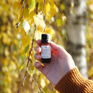 May include: A small amber glass bottle with a black cap and a white label featuring the text LJÓS ELDR 100% Pure Essential Oil Blend Made in Norway Net 5ml / .17 fl oz. The bottle is held against a background of yellow autumn birch leaves.