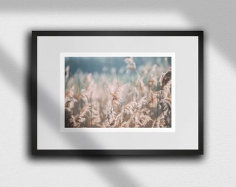Minimalist Grass Photography Print: Soft Backlit Nature Wall Art