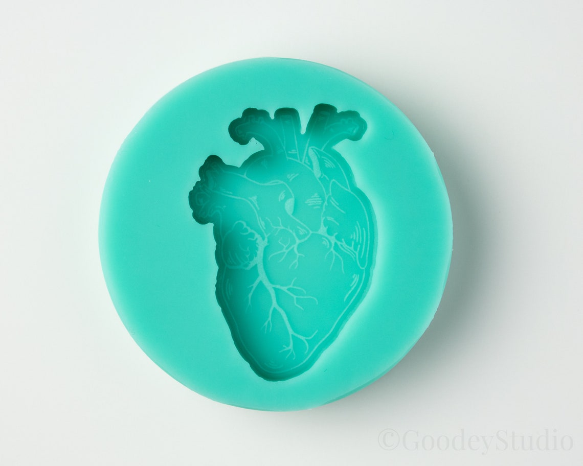 Human Heart Mold Silicone Mold for Resin 6mm Casting Mold Etsy