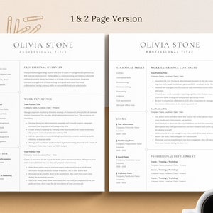 Modern Executive Resume Template 2021 for Word, Google Docs, Mac Pages ...