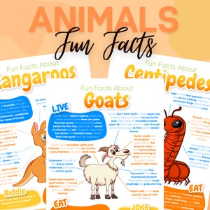 Ant to Turtle 27 Animal Fun Facts